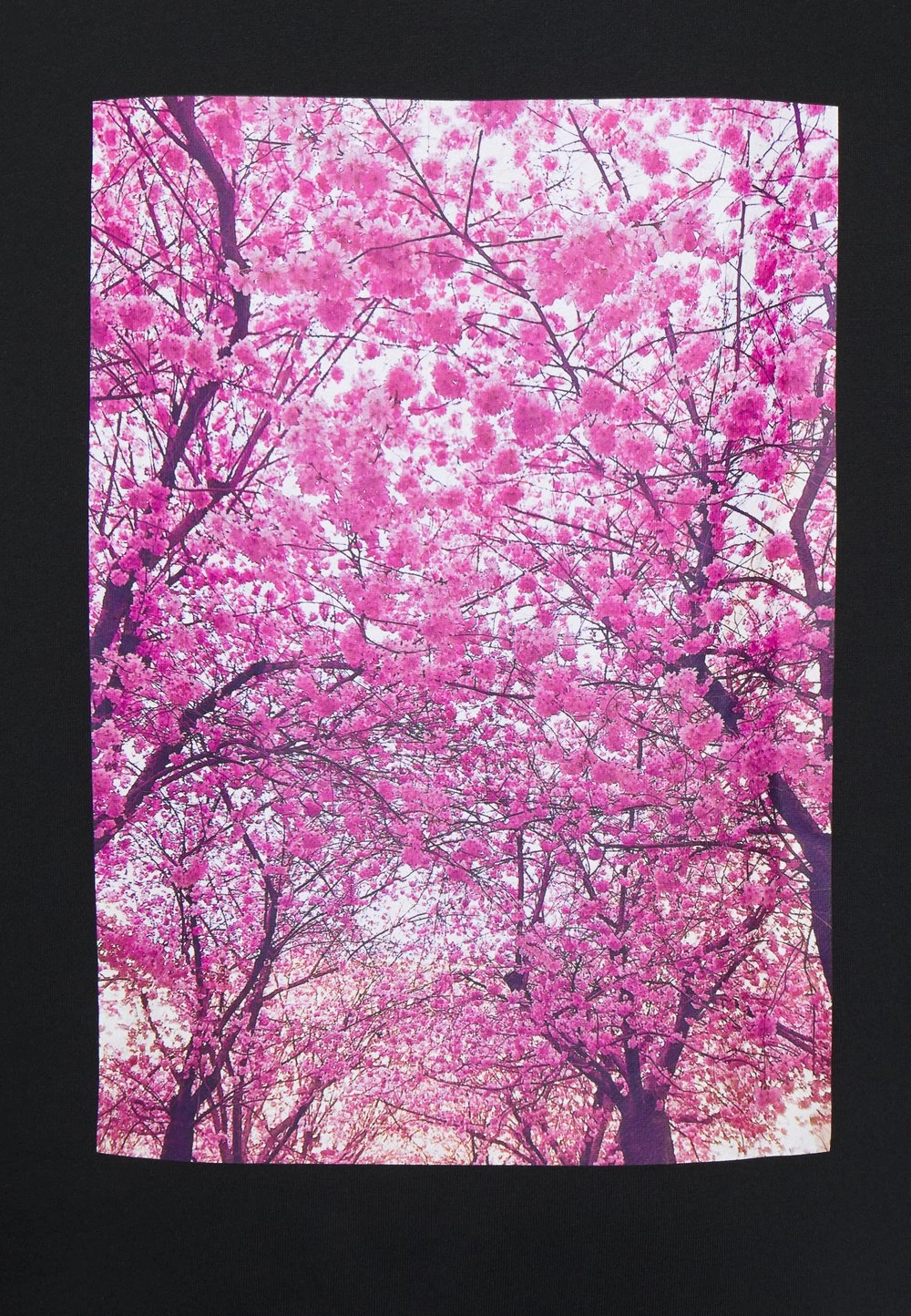 Meilleure affaire ⌛ Pier One Haute Qualité Sweatshirt pulls et gilets capuche homme 🎉 6 Meilleure affaire ⌛ Pier One Haute Qualité Sweatshirt pulls et gilets capuche homme 🎉 – Image 4